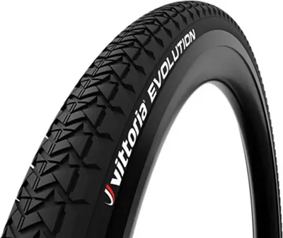 Obrázok produktu pre Pneumatika VITTORIA Evolution 29x1.9