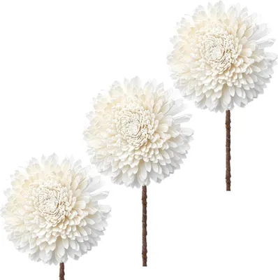 Produktbild von Solablüten Chrysanthemen Bastelmaterial Gestecke naturweiß 3er Set Ø 12 cm