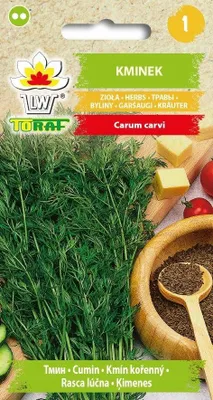 Zdjęcie produktu dla Nasiona ziół Kminek zioła - Toraf 293