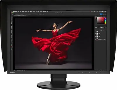 Produktbild von EIZO ColorEdge CG2400S, 61,2 cm (24.1"), 1920 x 1200 Pixel, WUXGA, LCD, 11 ms, Schwarz