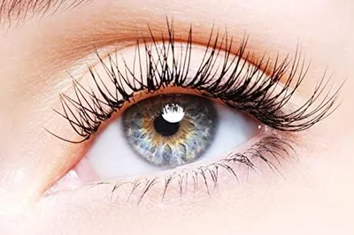 Produktbild von Wimpernlifting Kleber False Lashes Glue (1x Flasche mit 7ml) für Dauerwelle und Wimpernwelle | False Lashes Glue Ersatzflasche für Wimpernlifting (Klar)