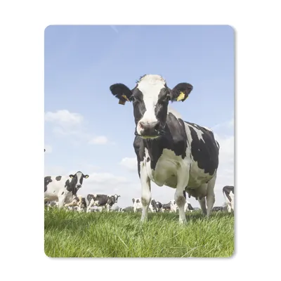 Produktbild von MuchoWow® Mauspad Mousepad Kühe - Gras - Tiere - Sonne - Bauernhof 30x40 cm - Mousepads - Maus Mat - Pad - Mausunterlage - Mausmatten