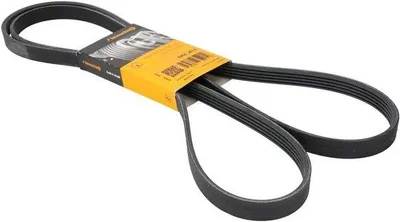 Image de Courroie trapézoïdale crantée pour entretien moteur - 5PK2060 - Noir