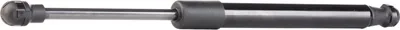 Produktbild von RIDEX 219G0255 Gasfeder Heckklappendämpfer für FORD MONDEO III Stufenheck (B4Y) 300mm