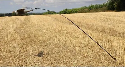 Immagine prodotto di Mjoelner Caccia al piccione Plunger Golden Golden Taglia unica