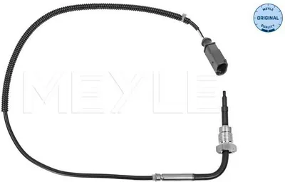 Image de Capteur, Abgastemperatur
