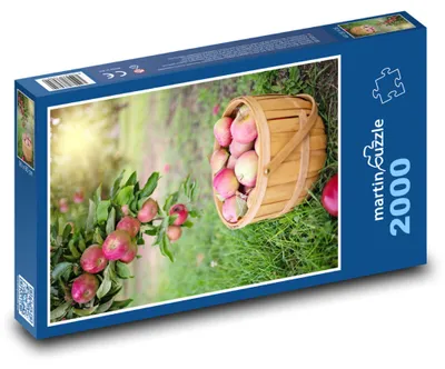 Zdjęcie produktu dla Puzzle 2000 Jesienne zbiory jabłek - martinpuzzle