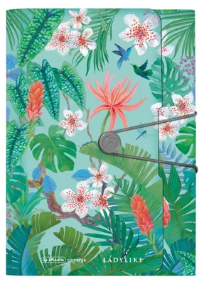 Image de Portefeuille extensible A4 – 12 compartiments, collection Ladylike