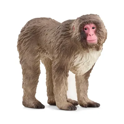 Produktbild von schleich 14871 Japanmakak, ab 3 Jahren, WILD LIFE - Spielfigur, 3 x 7 x 6 cm
