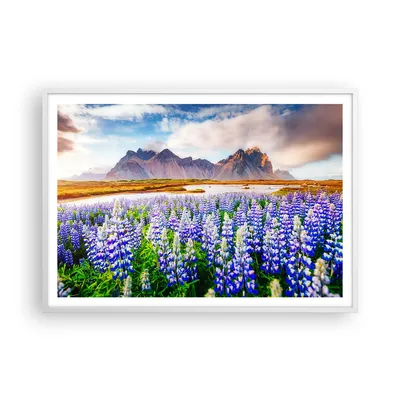Produktbild von Gerahmtes Poster - Weißer Rahmen - Berge Wiese Blumen - 100x70 cm - Wand Bild - Wanddeko - Wandbilder - Kunstposter - Wandposter - Bilderrahmen - Bilder - Kunstdruck - Wandbild - P2WAA100x70-4114