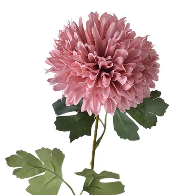 Produktbild von Clayre & Eef Kunstblume 54 cm Rosa Kunststoff