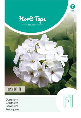 Imagen del producto de Pelargonio Apollo F1 blanco | Semillas de flores de Hortitops