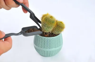 Productafbeelding van Bloempot-set voor cactussen, inclusief 4-delige tuingereedschapsset voor potplanten, in groen en zwart