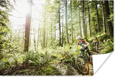 Produktbild von MuchoWow® Poster Zwei Frauen auf einem Mountainbike durch den Wald 120x80 cm - Bilder