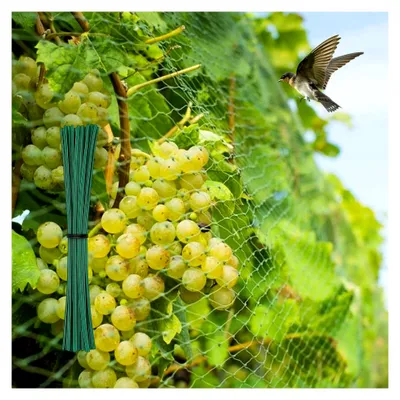 Produktbild von Vogelnetz 4x6m, Taubennetz für Balkon mit 50 Kabelbindern, engmaschiges Vogelschutznetz - Schutz für Obstbäume, Gemüse und Sträucher