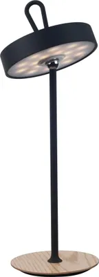 Produktbild von Näve Leuchten LED Tischleuchte ELLI mit LED Platine dimmbar LED Tischleuchte ELLI mit LED Platine dimmbar Tischleuchten - LED-Akku-Tischleuchte "ELLI" frost almond, Tischlampe für den Außenbereich im Modern Style aus Metall, Kunststoff und Naturmaterial in beige, 36 cm hoch, Ø 13 cm, LED Platine – dimmbar – Berührungssensor – Akkubetrieb