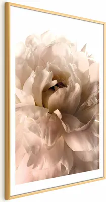 Produktbild von Posterpapier Poster - Soft Petals 21x30 cm Blumen b-C-0500-ao-a
