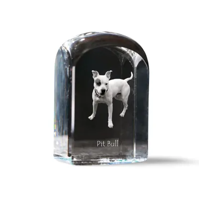 Obrázok produktu pre Pit Bull krištáľová pečiatka s psom Art-Dog