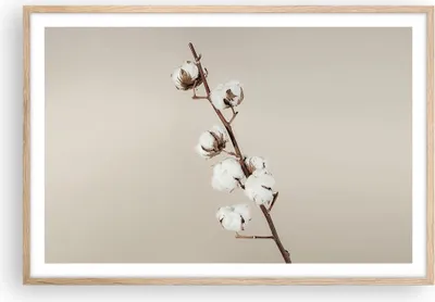 Produktbild von Gerahmtes Poster - Rahmen in heller Eiche - Baumwolle Zweig Boho - 91,5x61 cm - Wand Bild - Wanddeko - Wandbilder - Kunstposter - Wandposter - Bilderrahmen - Bilder - Kunstdruck - P2NAA91x61-4730