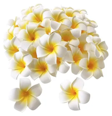 100 Stück Frangipani-Blüten aus Schaumstoff, 5 cm, DIY-Deko