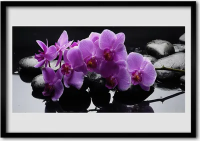 Produktbild von Bild 100x70 MDF-Rahmen Wandkunst Stein Blume Pflanze