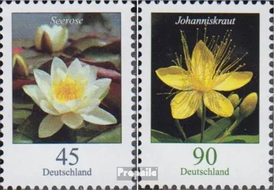 Produktbild von Briefmarken BRD (BR.Deutschland) 2017 Mi 3303R-3304R mit Zählnummer (kompl.Ausg.) postfrisch Blumen