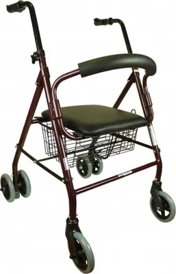 Image de Rollator Pliable Aluminium Assise et Dossier Bordeaux Paterna Clinicalfy