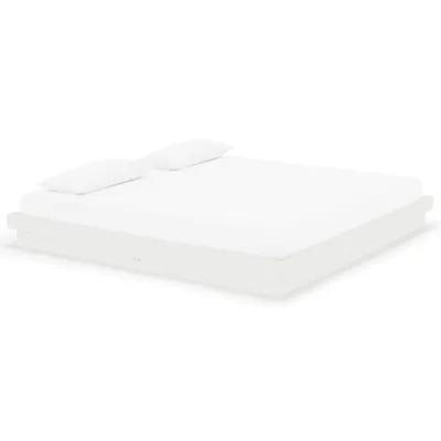 Obrázek produktu pro vidaXL Postel z masivu bílá 200x200 cm
