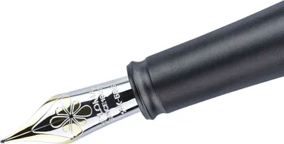 Produktbild von Federaggregat mit Goldfeder Aero Breite EF