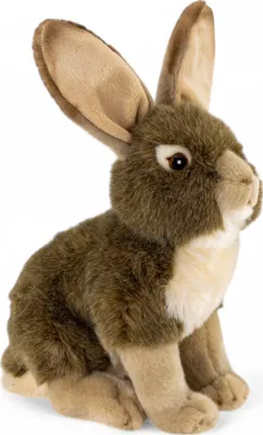 Immagine prodotto di Carl Dick coniglio seduto con grandi orecchie ca. 30 cm, peluche, peluche, peluche 3684