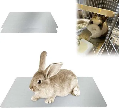 Produktbild von Famanu Kühlmatte für kleine Haustiere - 2 Stück, beißfest, ideal für Kaninchen, Hamster, Welpen und Kätzchen