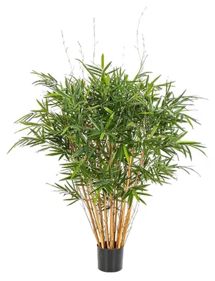 Produktbild von aplanta Künstlicher Bambus – Kaedor | 150 cm, UV-beständig, Echtholzstamm, für drinnen, Kunstbaum, wie echt, Allergiker geeignet, pflanzliche Dekoration Praxis, Office & Wohnzimmer
