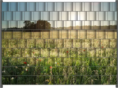 Produktbild von Wallario Zaunsichtschutz mit Motiv Wiese im Licht der Abendsonne für Ein- und Doppelstabmatten Zäune in der Größe 250 x 180 cm