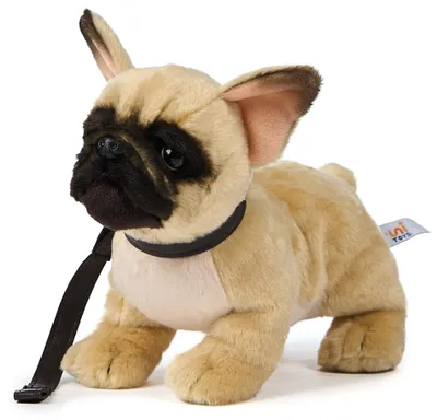 Produktbild von Uni-Toys - Französische Bulldogge (beige) - Mit Leine - 26 cm (Länge) - Plüsch-Hund - Plüschtier, Kuscheltier – Beige - mit Leine