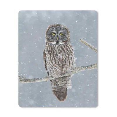 Produktbild von MuchoWow® Mauspad Mousepad Eule im Schnee 30x40 cm - Mousepads - Maus Mat - Pad - Mausunterlage - Mausmatten