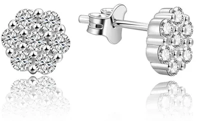 Produktbild von Silver earrings flowers AGUP1189