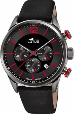 Image de Lotus montre Homme 18687/6