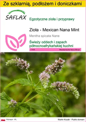 Zdjęcie produktu dla SAFLAX - Zestaw do uprawy - Zioła - Mexican Nana Mint - 500 Nasiona - Z mini szklarnią, podłożem uprawowym i 2 doniczkami - Mentha spicata Nane