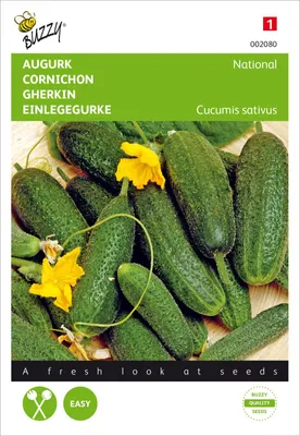 Produktbild von Einlegegurke National | Einlegegurkensamen von Buzzy Seeds