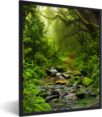 Produktbild von MuchoWow® Gerahmtes Poster Natur - Wasser - Dschungel - Wald - Tropisch 60x80 cm - Poster mit Schwarzem Bilderrahmen Wandposter Rahmen Foto Bilder - Premium - Wanddeko Wohnzimmer
