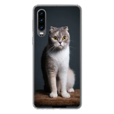 Produktbild von MuchoWow® Handyhülle Schutzhülle Hülle für Huawei P30 Katze - Haustiere - Licht Silikon Softcase Handy Hülle - Kartenbesitzer
