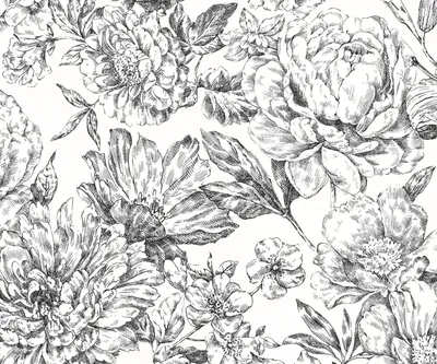 Zdjęcie produktu dla Komar fototapeta kwiaty czarno-białym - 611630 - 300 x 250 cm