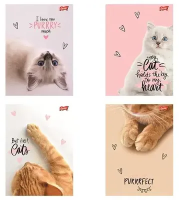 Image de Cahier A5, 60 feuilles, quadrillé, collection "Purrfect Moments" - UNIPAP