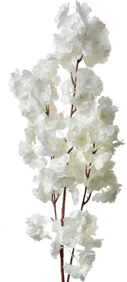 Produktbild von Clayre & Eef Kunstblume 100 cm Weiß Kunststoff