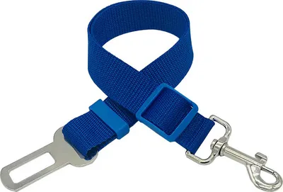 Image de Ceinture de sécurité pour chien / 45-70 cm x 2,5 cm bleu