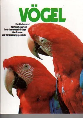 Produktbild von Vögel | Diethard H. Klein
