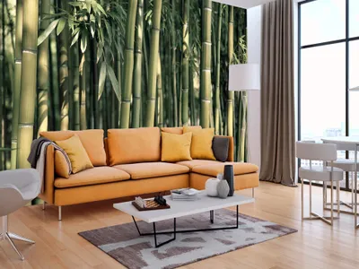 Produktbild von Vlies Fototapete 400x280 cm Tapeten Wandtapete XXL Bambus Baum Bäume Bambusweld Natur Wald grün Asien b-B-0072-a-d