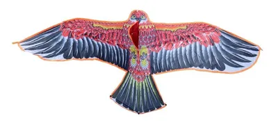 Immagine prodotto di Aquilone 180cm