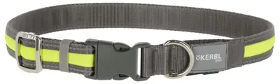 Obrázek produktu pro Svítící obojek pro psy Light & Reflex, 35 - 50 cm x 20 mm, žlutý, Kerbl