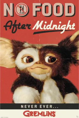 Produktbild von Gremlins - No Food after Midnight - Poster 61x91,5 cm